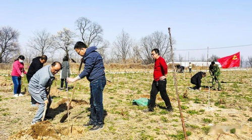 林業工作站 黨史學習教育氛圍濃厚 助推綠色發展新篇章