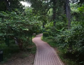 北京林業大學游覽全攻略 門票、地址、路線與工業風景點探索