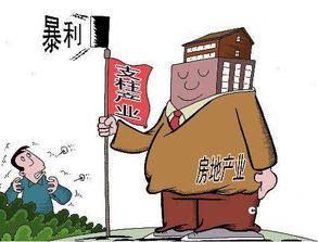 面對(duì)房產(chǎn)泡沫 房地產(chǎn)業(yè)的應(yīng)對(duì)之道