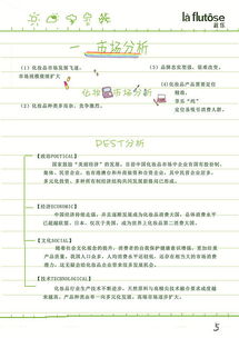 指尖麥香，繪夢于心 手繪風(fēng)格XX品牌形象升級(jí)營銷策劃案
